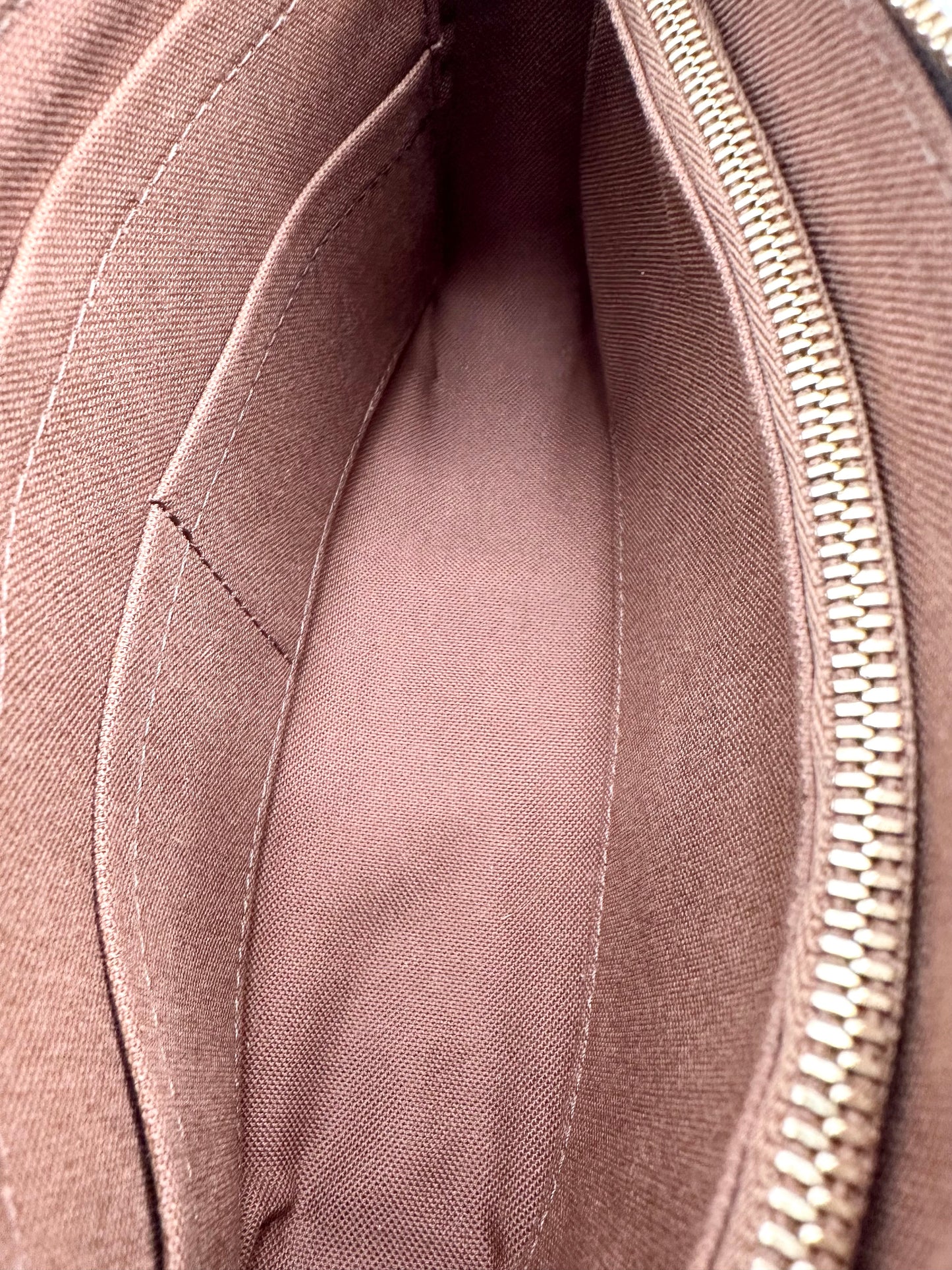 Louis Vuitton Monogram 'Pochette Accessoires' Bag